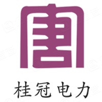 广西桂冠电力股份有限公司