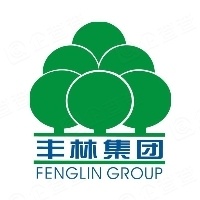 广西丰林木业集团股份有限公司